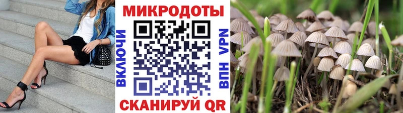 Галлюциногенные грибы Magic Shrooms Кондопога