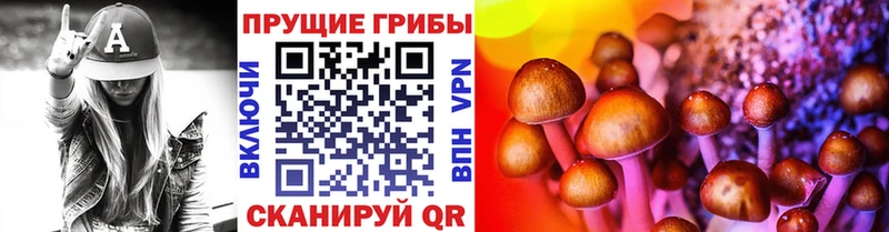 цена   Кондопога  Псилоцибиновые грибы GOLDEN TEACHER 